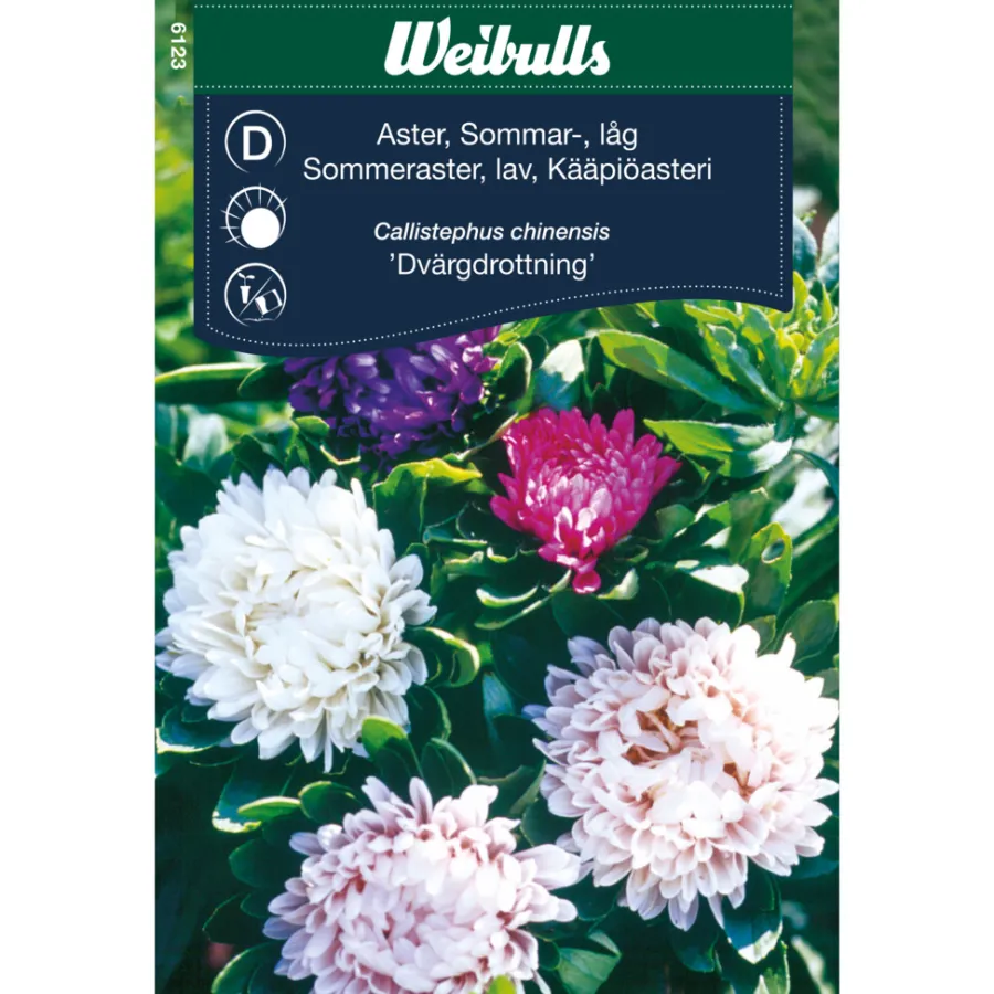 Frø^Weibulls Asters lav sommer