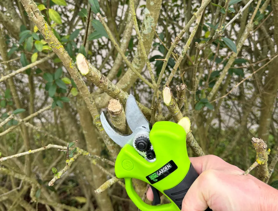Beskjæring^Garden Beskjæringssaks oppladbar 21 V 2,0 Ah – ®