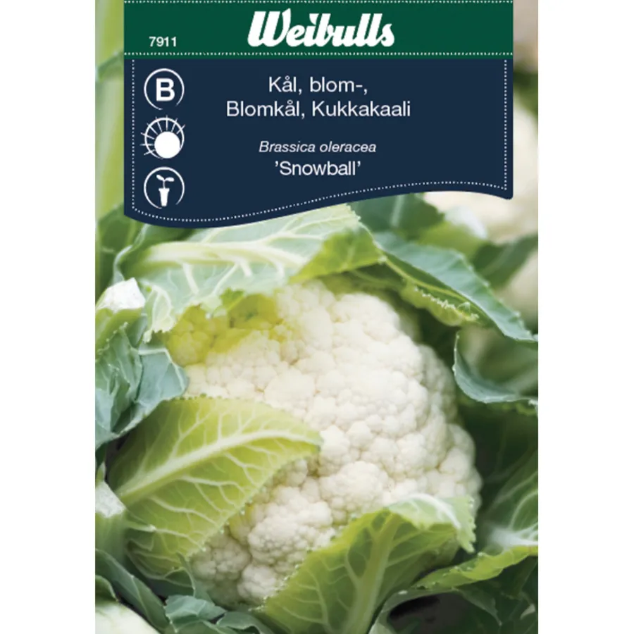 Frø^Weibulls Blomkål 'Snowball'