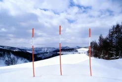 Snørydding^ Brøytestikker 180 cm - 6 stk.