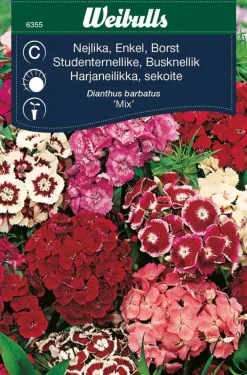 Frø^Weibulls Busknellik "Mix" Hvite. rosa og røde nyanser