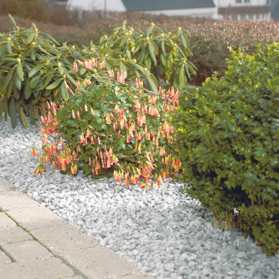 Grus Og Stein^Safestone by ZURFACE Dekorstein 25 kg - Hvit granitt - Safestone