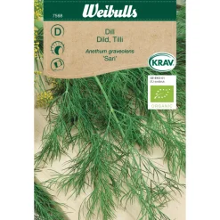 Økologiske Frø^Weibulls Dill økologisk - Sari