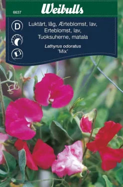 Frø^Weibulls Erteblomst, lav 'Mix'