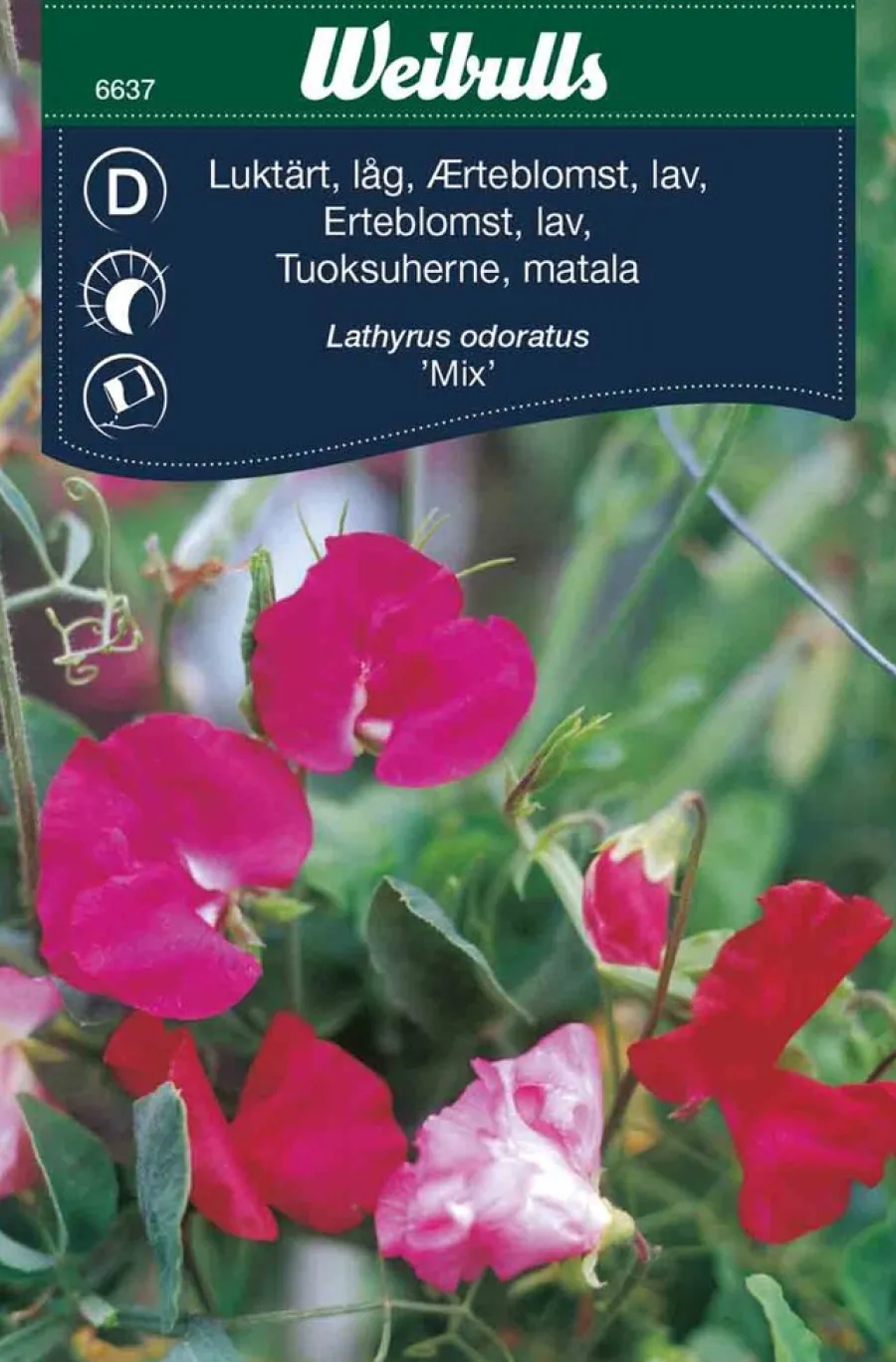 Frø^Weibulls Erteblomst, lav 'Mix'