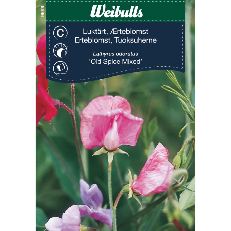 Frø^Weibulls Erteblomst 'Old Spice Mixed'