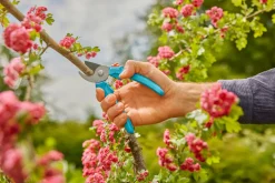 Beskjæring^Gardena beskjæringssaks EasyCut