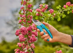 Beskjæring^Gardena beskjæringssaks EasyCut