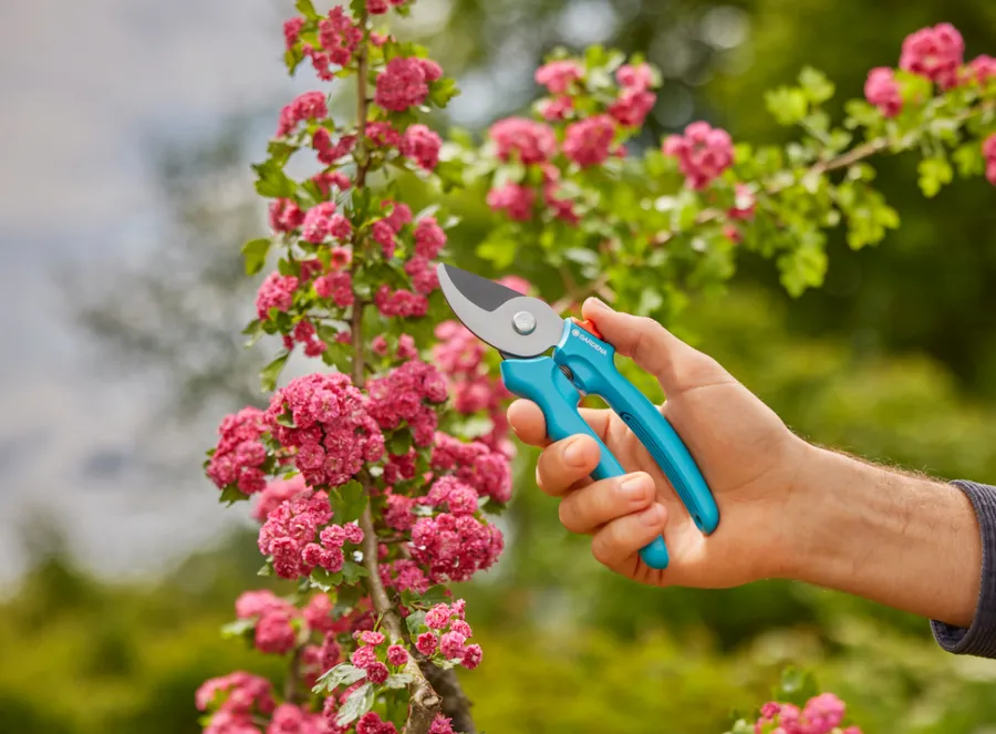 Beskjæring^Gardena beskjæringssaks EasyCut