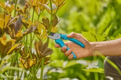 Beskjæring^Gardena beskjæringssaks EasyCut