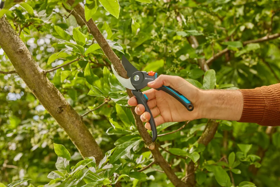 Beskjæring^Gardena beskjæringssaks PremiumCut Pro