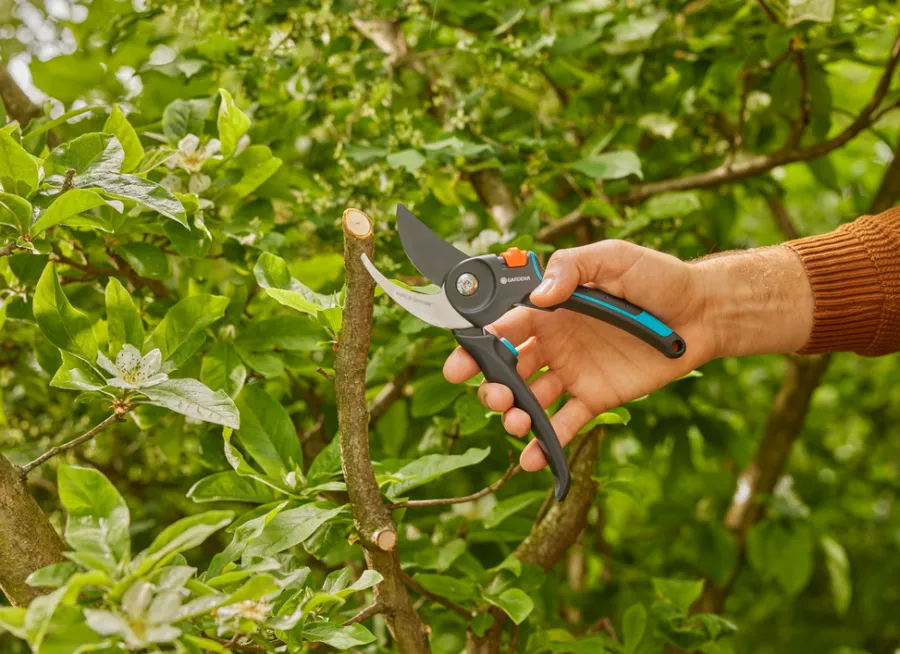 Beskjæring^Gardena beskjæringssaks PremiumCut Pro