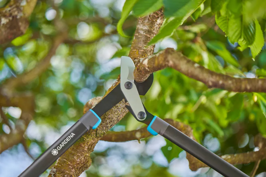 Beskjæring^Gardena grensaks EnergyCut Pro L