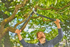 Beskjæring^Gardena grensaks EnergyCut Pro L