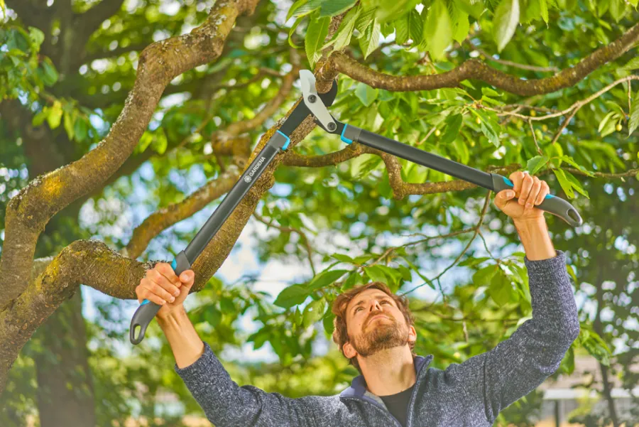 Beskjæring^Gardena grensaks EnergyCut Pro L