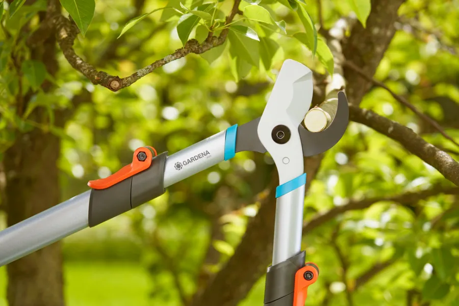 Beskjæring^Gardena grensaks TeleCut Basic