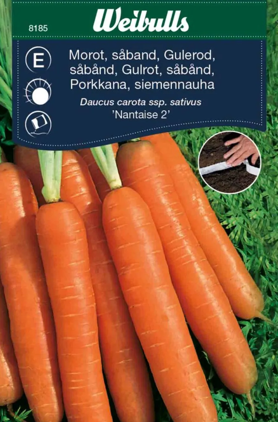 Frø^Weibulls Gulrot, sommer 'Nantaise 2'