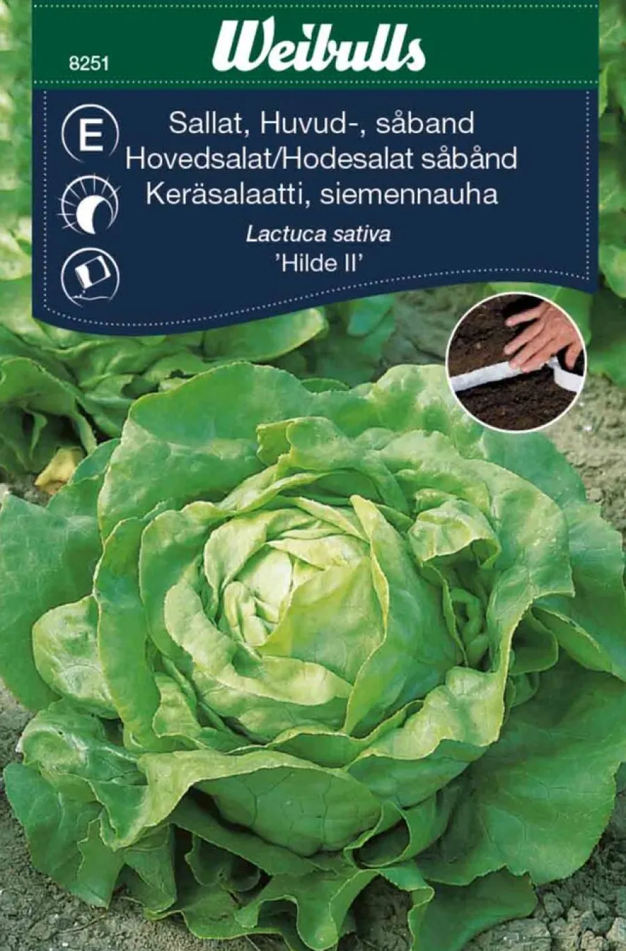 Frø^Weibulls Hodesalat (såbånd) - Attraction