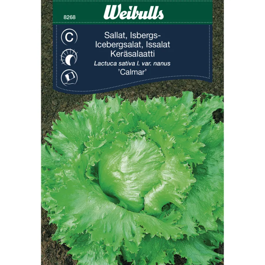 Frø^Weibulls Isbergsalat 'Calmar'