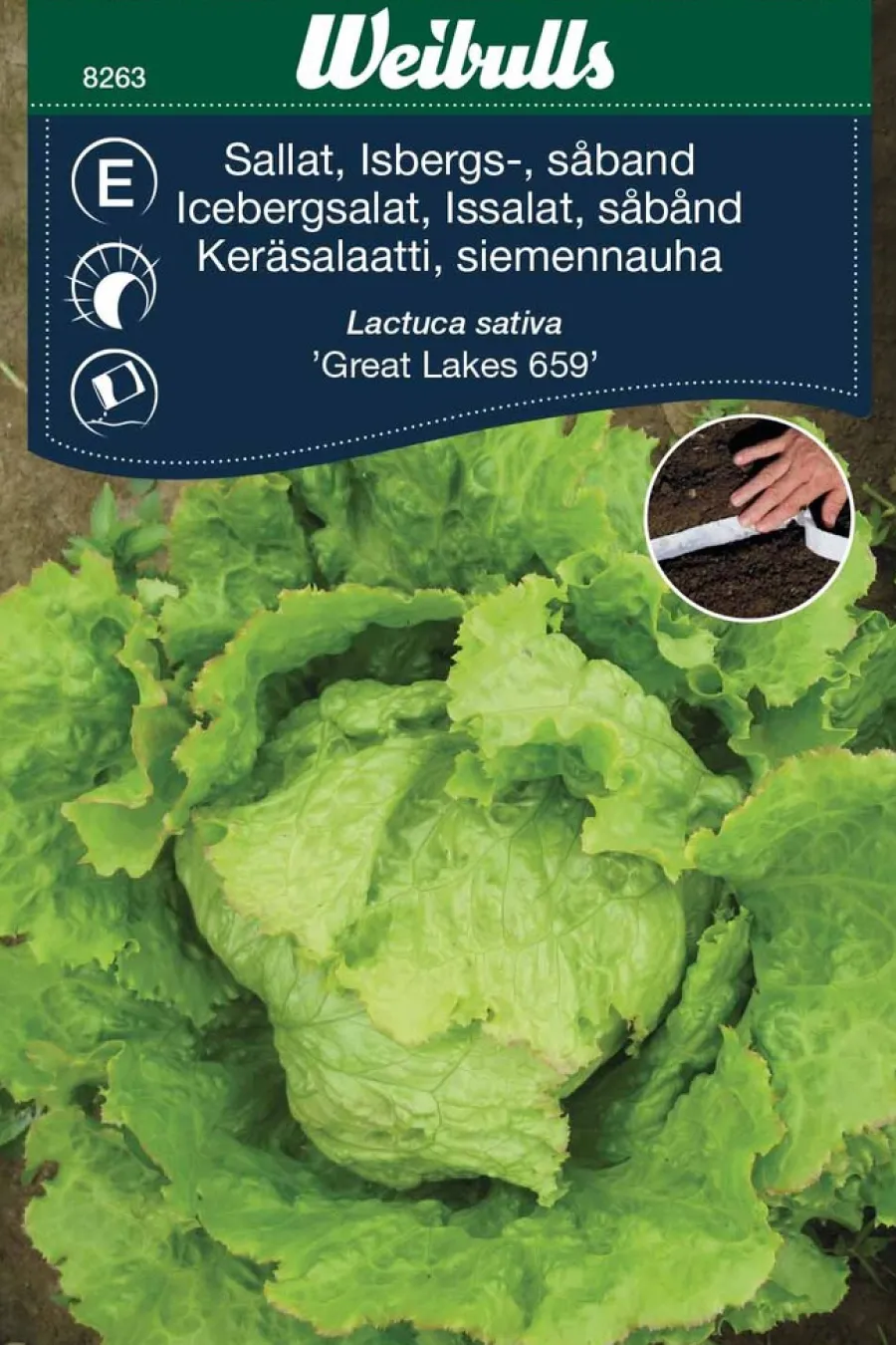 Frø^Weibulls Isbergsalat med såbånd, "Great Lakes"