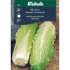 Frø^Weibulls Kinakål 'Michihili'