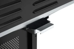 Gassgrill^Grillexpert Kombigrill til gass og kull - ® Svart