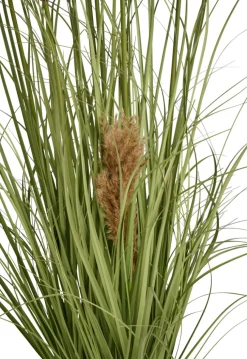 Kunstige Planter^ Kunstgress med ekte pampas 120 cm