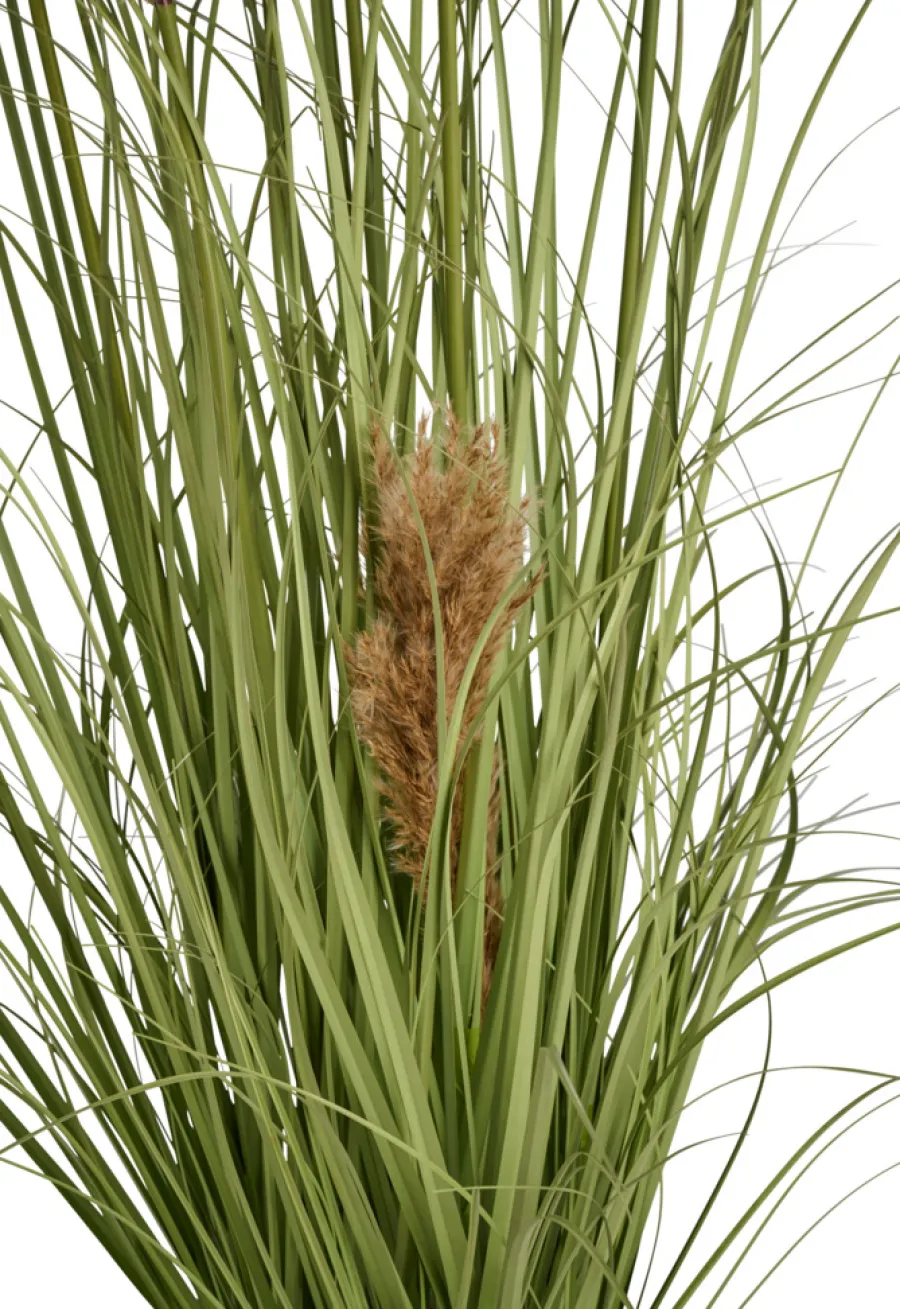 Kunstige Planter^ Kunstgress med ekte pampas 120 cm