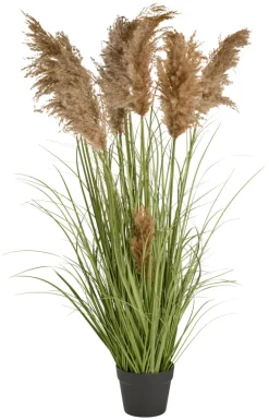 Kunstige Planter^ Kunstgress med ekte pampas 120 cm
