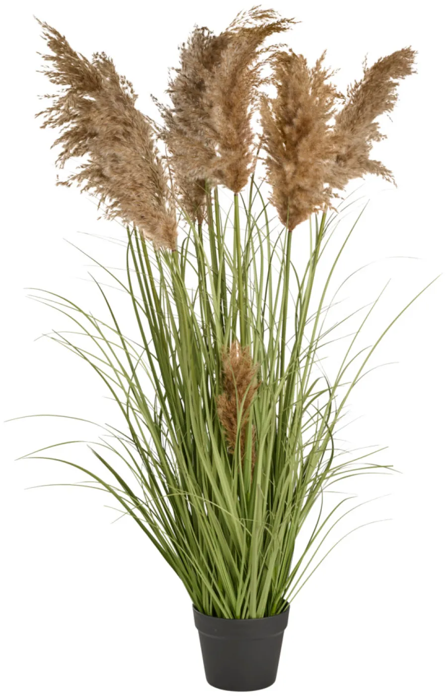 Kunstige Planter^ Kunstgress med ekte pampas 120 cm
