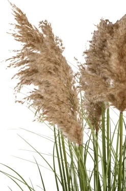 Kunstige Planter^ Kunstgress med ekte pampas 120 cm