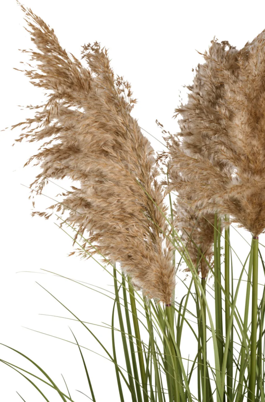 Kunstige Planter^ Kunstgress med ekte pampas 120 cm