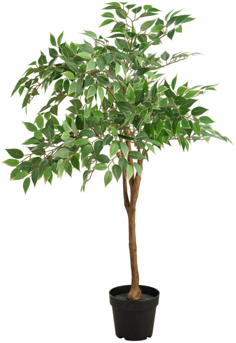 Kunstige Planter^DAY Kunstig ficustre H125 cm utendørs -