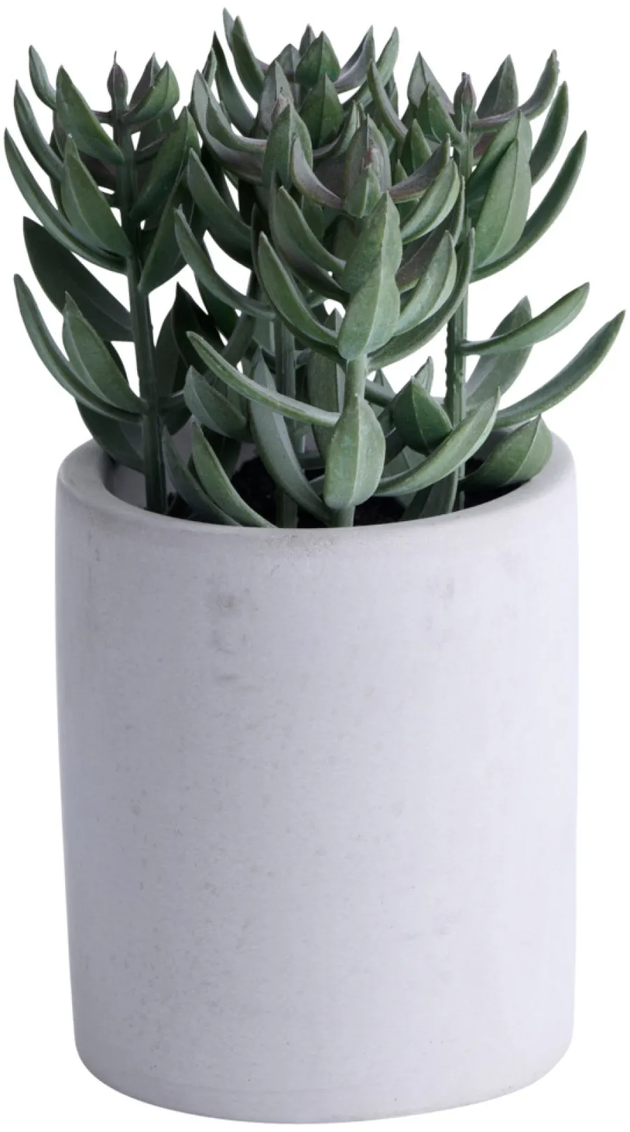 Kunstige Planter^ Kunstig plante tetragona H19 cm Grå og grønn