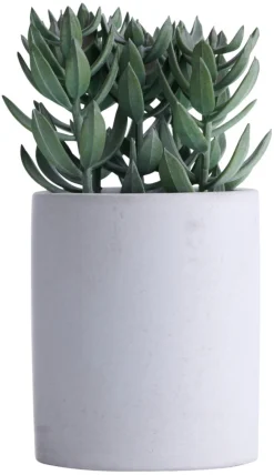 Kunstige Planter^ Kunstig plante tetragona H19 cm Grå og grønn