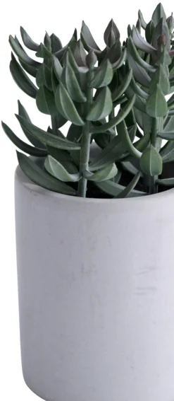 Kunstige Planter^ Kunstig plante tetragona H19 cm Grå og grønn