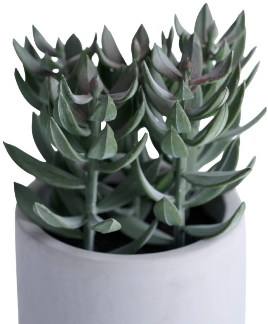 Kunstige Planter^ Kunstig plante tetragona H19 cm Grå og grønn