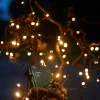 Dekorativ Belysning - Utendørs^Stemning Lysslynge m/timer 40 LED-pærer 1,9 meter