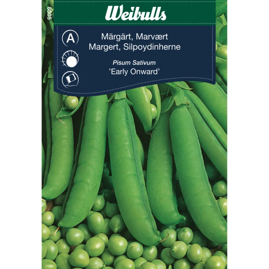Frø^Weibulls Margert 'Early Onward'