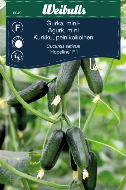 Frø^Weibulls Miniagurk, 'Hopeline F1'