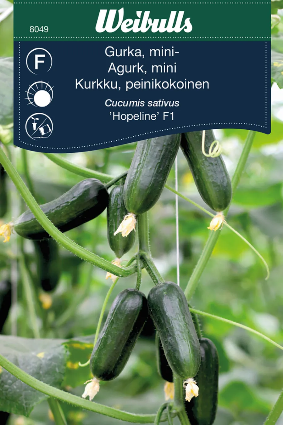 Frø^Weibulls Miniagurk, 'Hopeline F1'