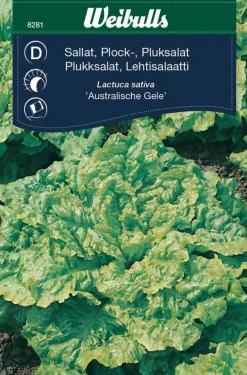 Frø^Weibulls Plukksalat "Australische Gele"