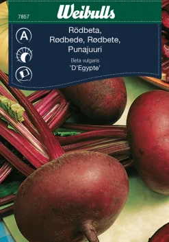 Frø^Weibulls Rødbeter 'D'Egypte'