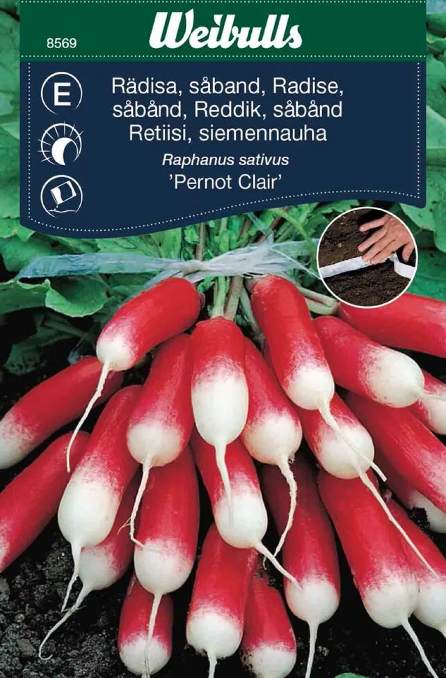 Frø^Weibulls Reddik (lang såbånd) - Pernot Claire