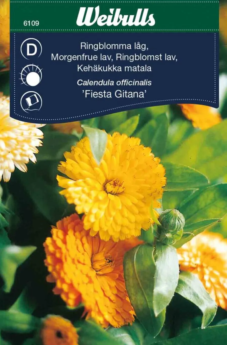 Frø^Weibulls Ringblomst lav 'Fiesta Gitana' Oransjegul