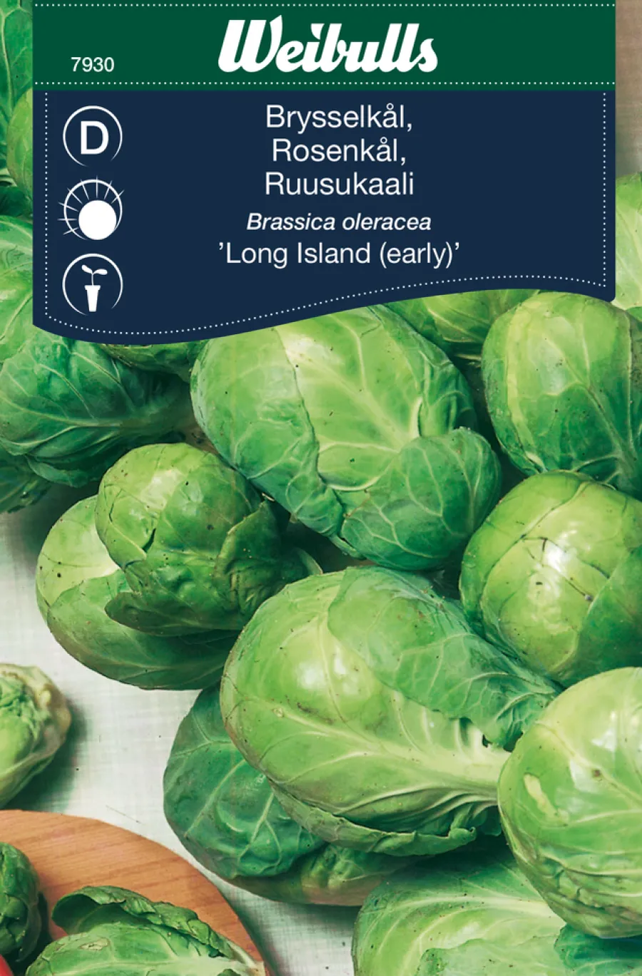 Frø^Weibulls Rosenkål ´Long Island`