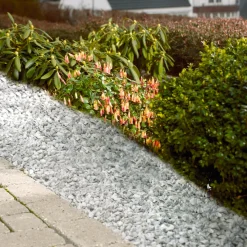 Grus Og Stein^Safestone by ZURFACE Safestone dekorstein 11/16 mm grå Stenungsund