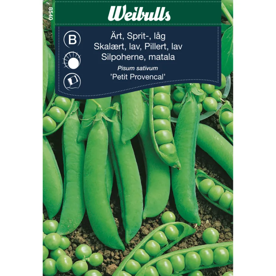Frø^Weibulls Skallert, lav 'Petit Provencal'
