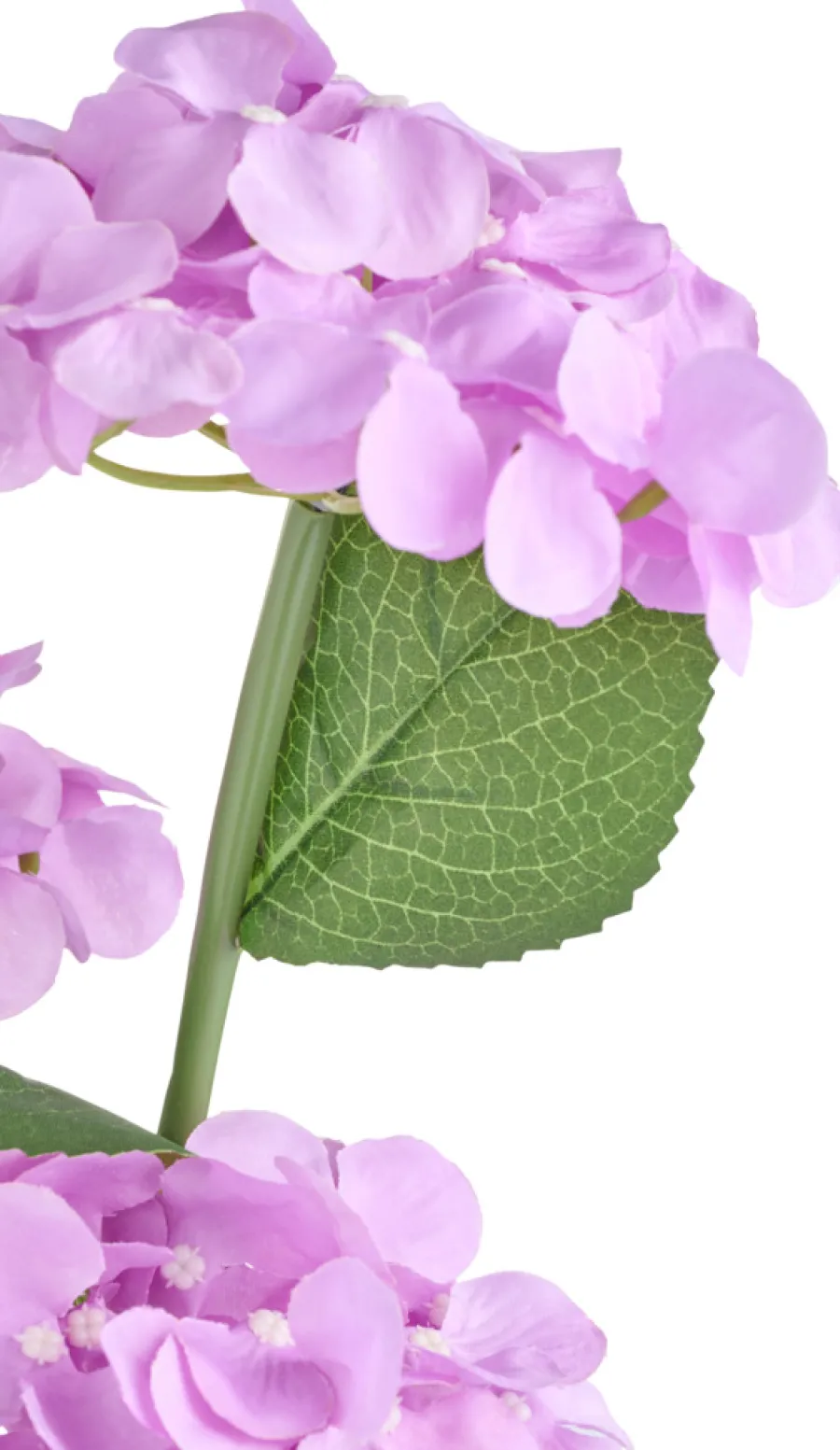 Dekorativ Belysning - Utendørs|Solcellelamper^Garden Solcelleblomst Hortensia – ®