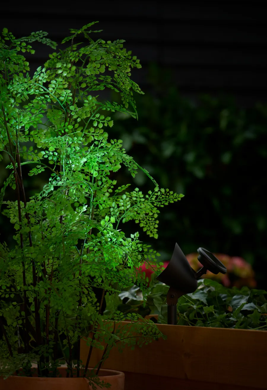 Solcellelamper^Garden Solcellelampe Spotlight 19 cm - ® Svart
